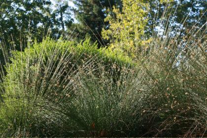 10img_79461