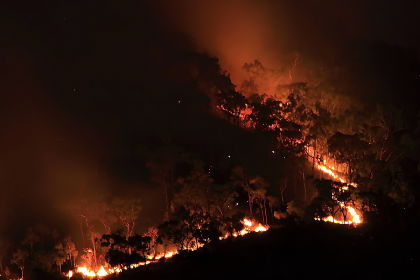 brushfire