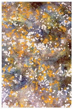 print37