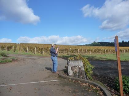 oregonwinecountry03