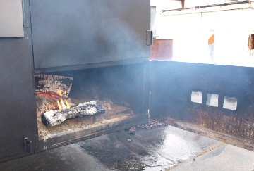 bbq-4