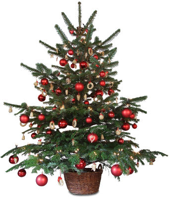 small-christmas-tree