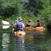 Four Kayaks Exploring Nature