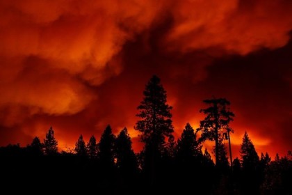 Ponderosa Fire photo by Matthew Henderson - 1