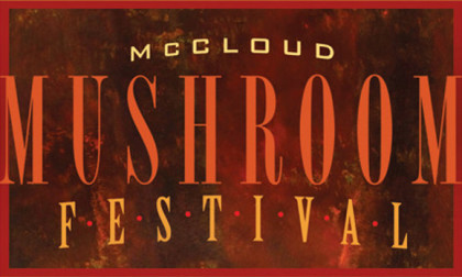 mushroom_festival_stamp_580_no_date