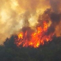 fire by Emma Fisher