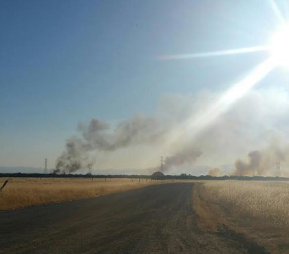 Mallard Fire in Millville, photo by Emma Fisher