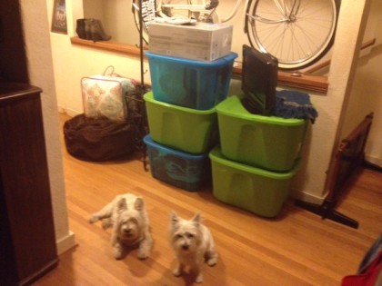 All her stuff, and two sad dogs who know sumthin's up.