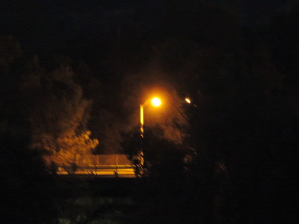 DSCN5174