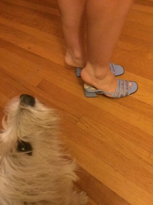 Size 9 feet stuffed into size 5 shoes, and one sad little puppy.