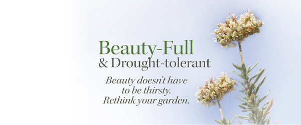 TBGD-2015-Fall-Plant-Sale-homepage-1200x500-1