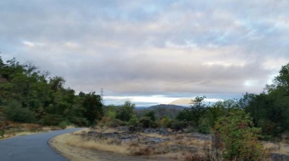 Thursday morning on the Sacramento River Trail