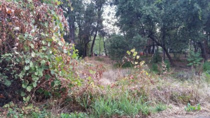 2015-10-07 (1)