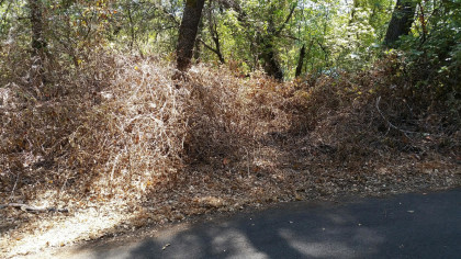 River clean up before