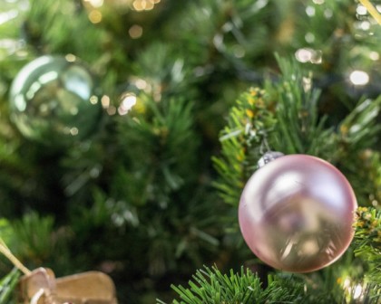 christmas tree ornament morguefile