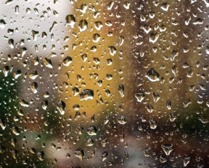 rain morguefile