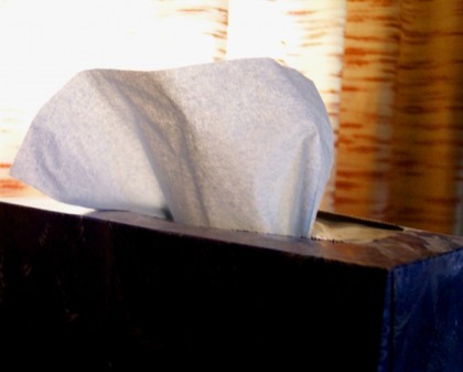 tissue box morguefile