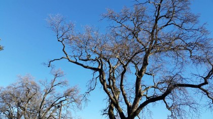 blue sky in redding