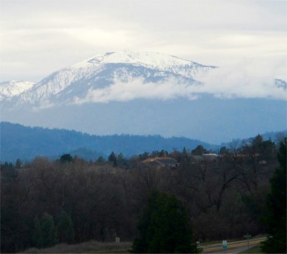 shasta bally