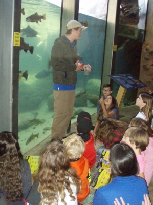 Turtle Bay Weird Science