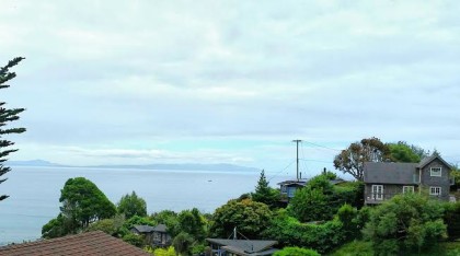 bolinas view