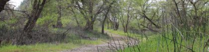 sacramento-river-trail