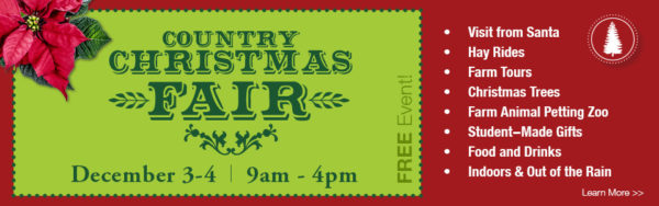 sc16_296-christmas-fair