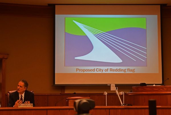 Deputy City Manager Greg Clark with the proposed new flag design.