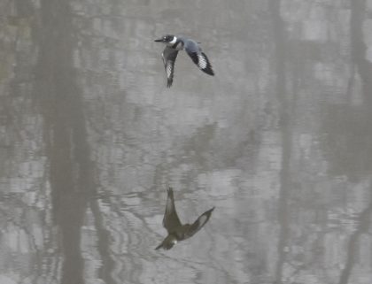 DSC_1690